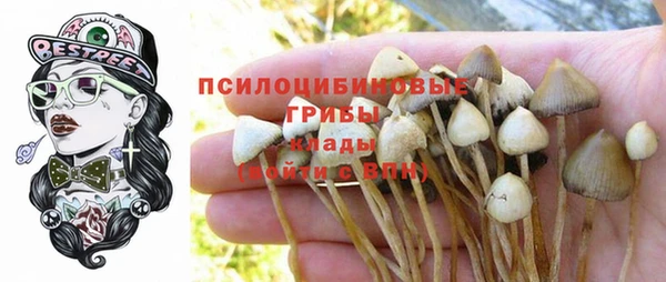 амф Надым