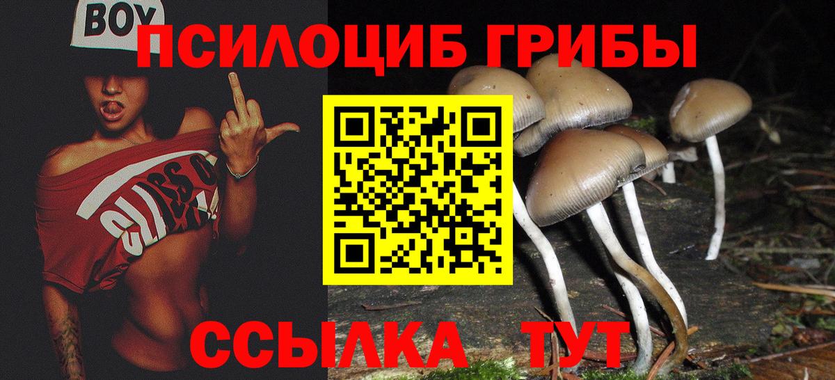 Псилоцибиновые грибы прущие грибы  Боровичи  Галлюциногенные грибы ЛСД 